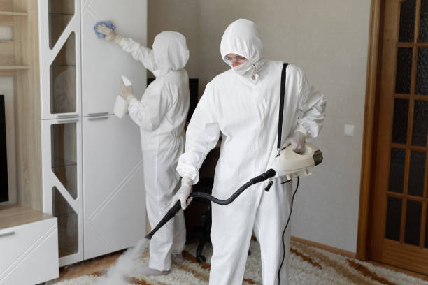 Affordable Infectious Disease Decontamination solutions in Shandon, CA